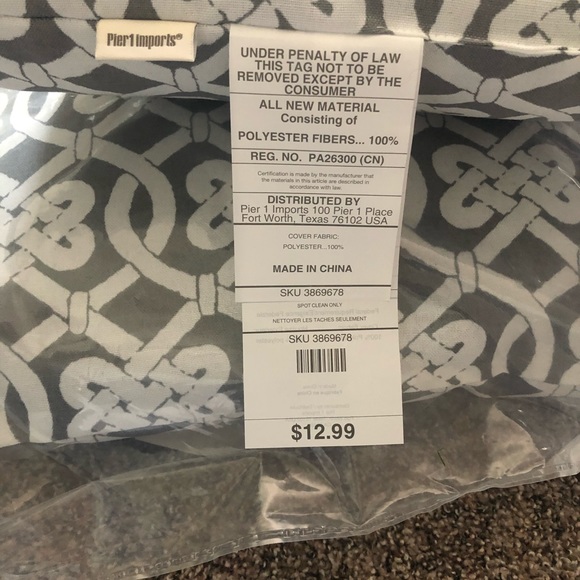 Pier 1 Accents 2 Pier Imports Indooroutdoor Pillow Nwt Poshmark